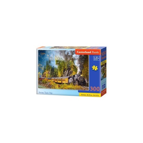 Puzzle steam train trip 300 CASTOR Puzzle steam train trip 300 CASTOR