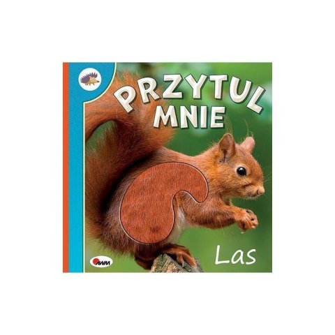 Przytul mnie las Przytul mnie las